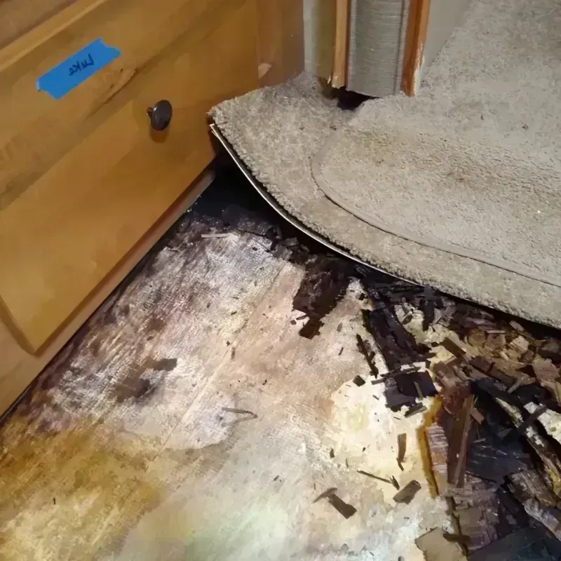 Best Wood Floor Water Damage Service in Elvins, MO